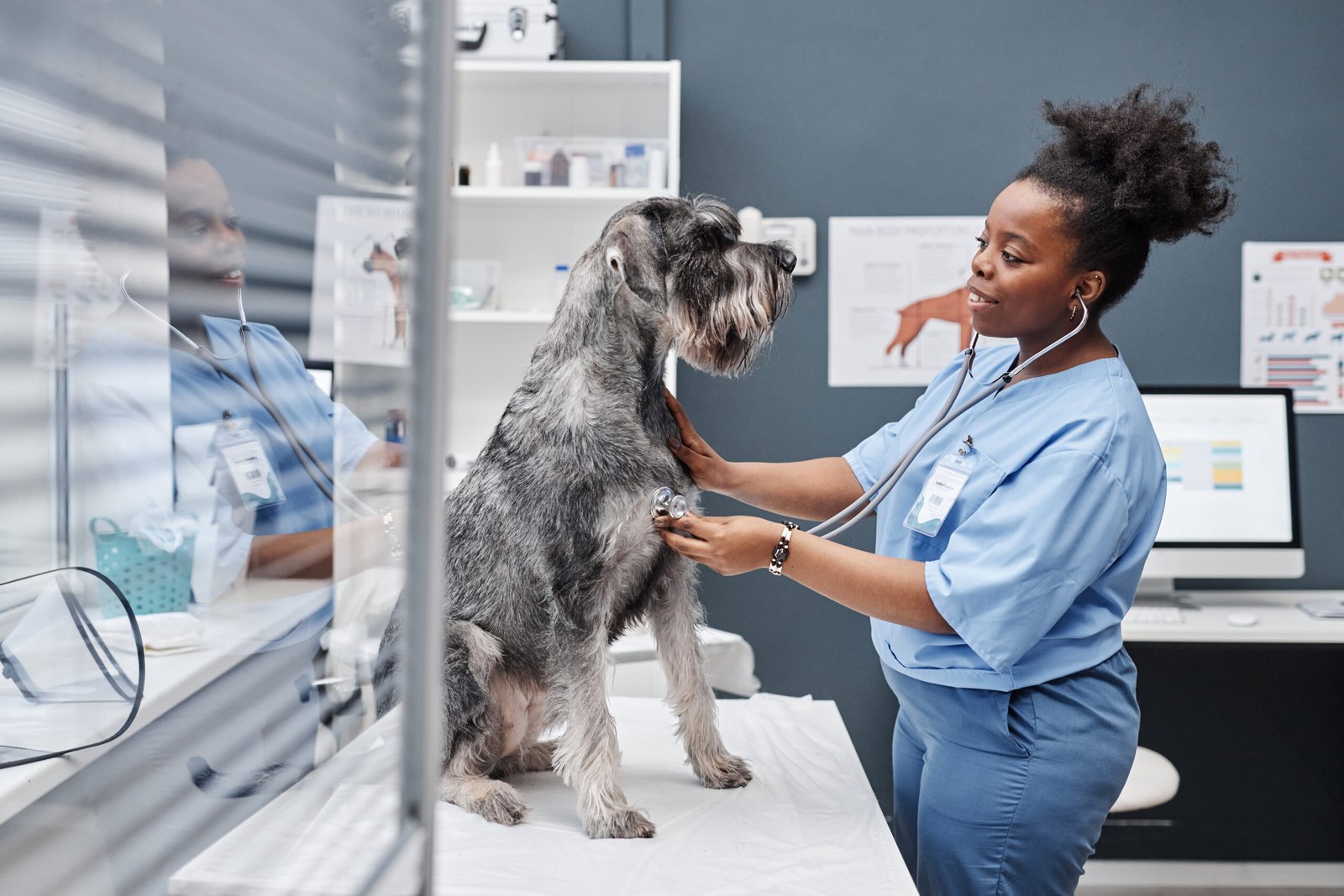 dog-table-medical-checkup-doctors-1-scaled.jpg
