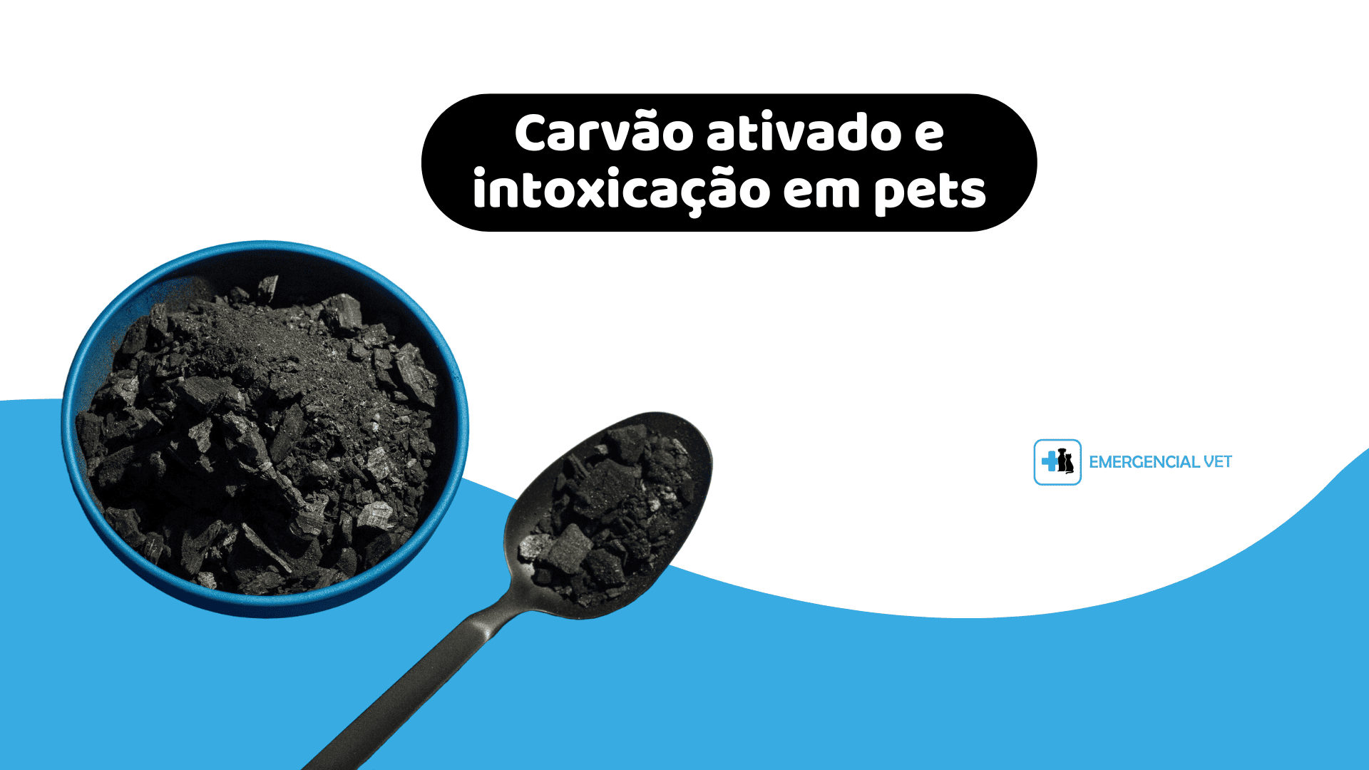 carvão ativado para intoxicação de cães e gatos