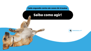 traumas-em-pet-emergencial-vet-saiba-como-agir