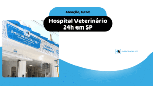 Emergencial vet hospital veterinario sao paulo - sinais de dor em pets