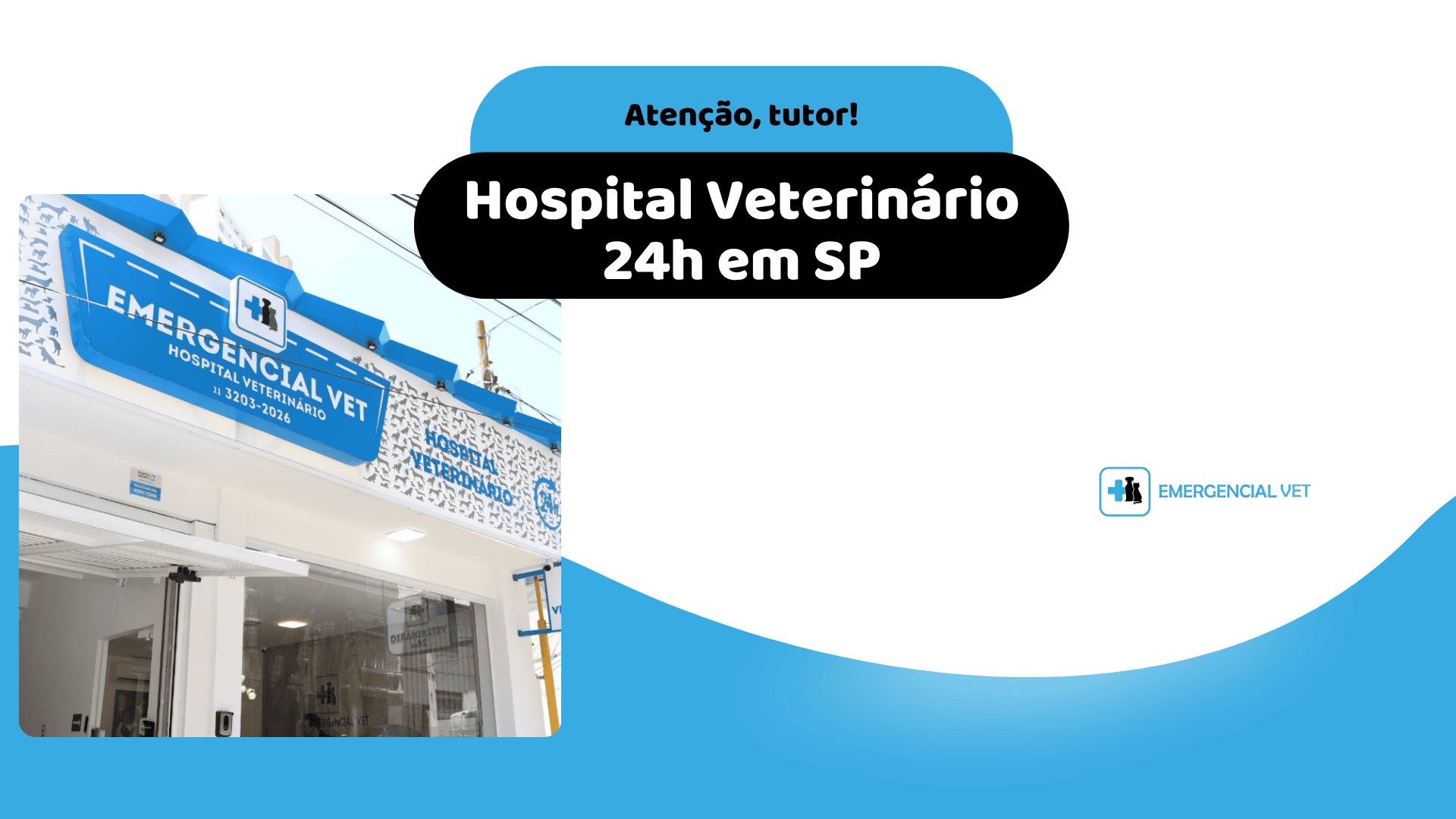 Emergencial vet hospital veterinario sao paulo - sinais de dor em pets