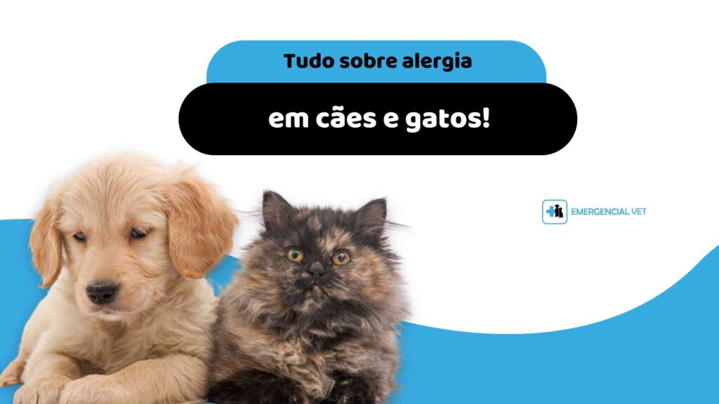 tudo sobre alergia de pele em cães e gatos - emergencial vet hospital veterinario em sao paulo