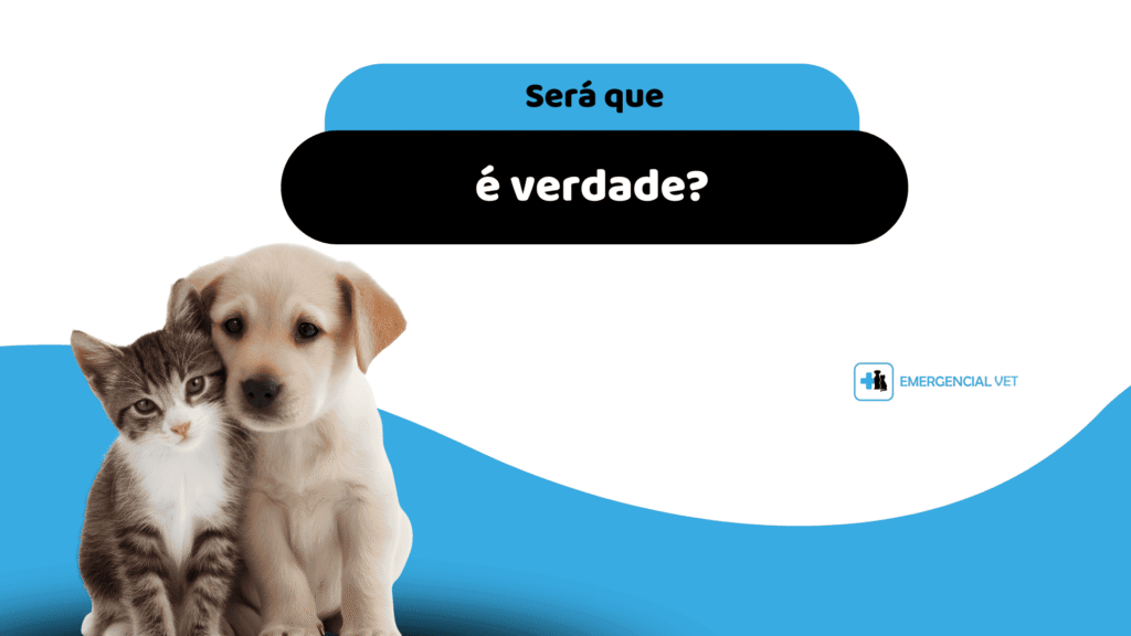 castração em cães e gatos. será que é verdade? artigo com os principais mitos sobre castração emergencial vet sao paulo