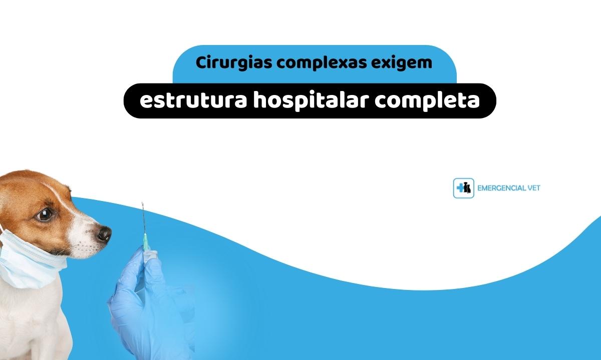 cirurgia veterinaria em sao paulo sp hospital veterinario